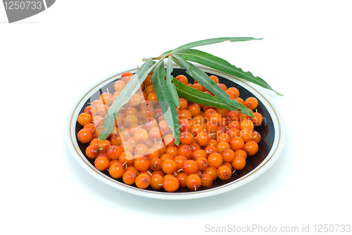 Image of Saucer filled with sea-buckthorn berries and some leaves