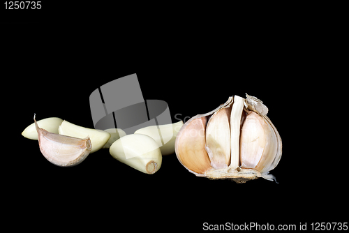 Image of Half of garlic bulb and cloves