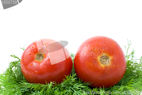 Image of Pair of ripe tomatoes over some dill