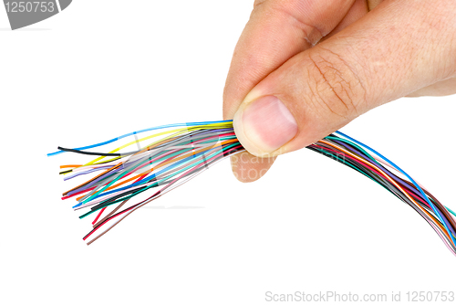 Image of Hand holding bunch of different colored wires