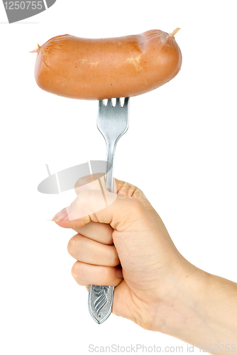 Image of Hand holding sausage on fork. Isolated on the white background