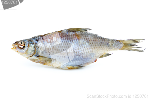 Image of Dried sea roach fish