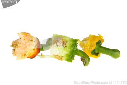 Image of Three bell pepper cores