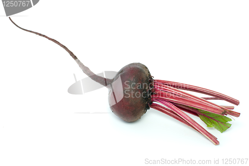 Image of Red beet