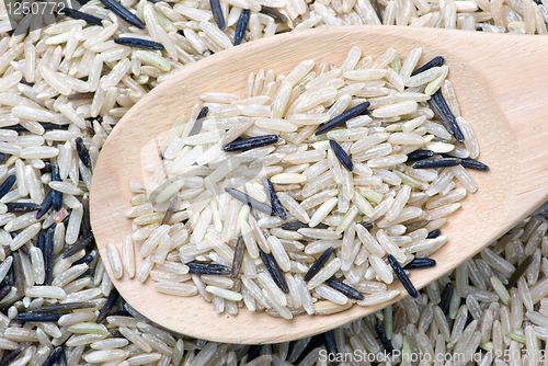 Image of Raw white and black uncultivated rice and wooden spoon