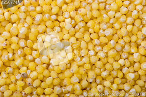 Image of Raw millet (macro)