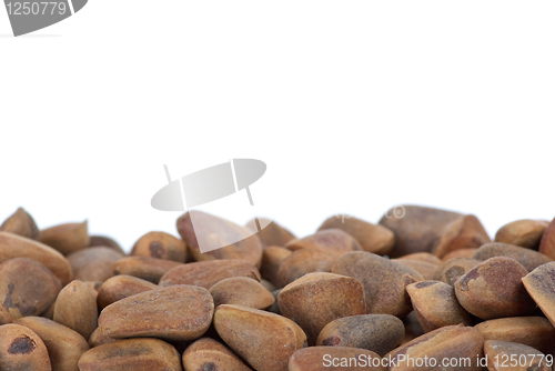 Image of Some cedar nuts
