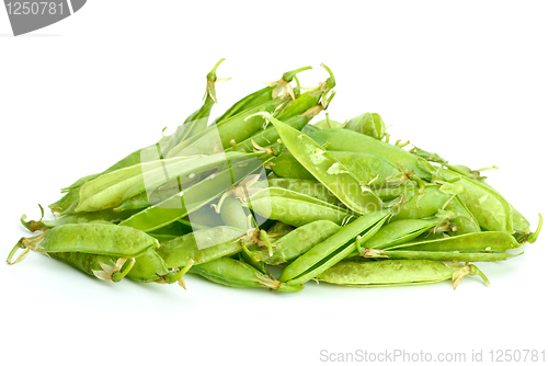 Image of Garbage pile: pea pods