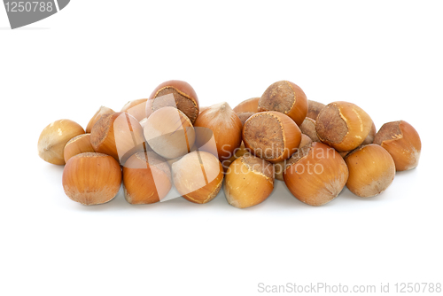 Image of Small pile of hazelnuts