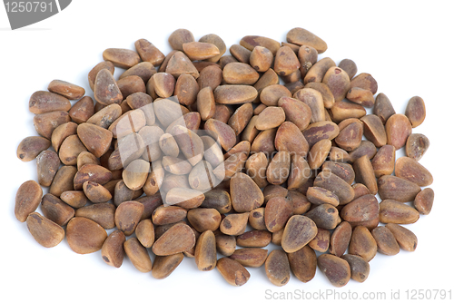 Image of Pile of cedar nuts