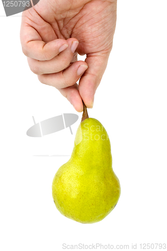 Image of Hand holding green pear