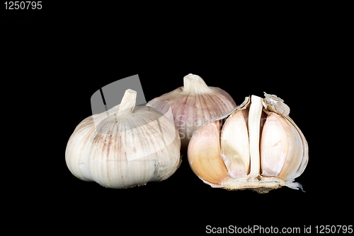 Image of Garlic bulbs whole and half