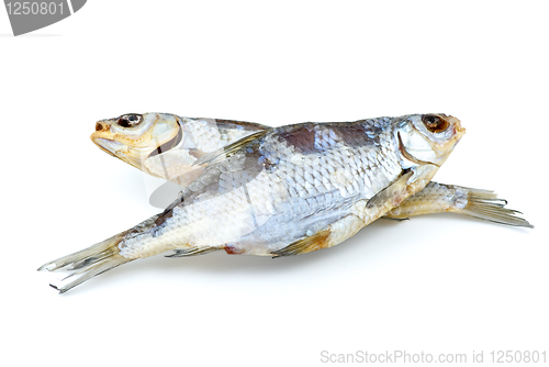 Image of Two salted sea roach fishes