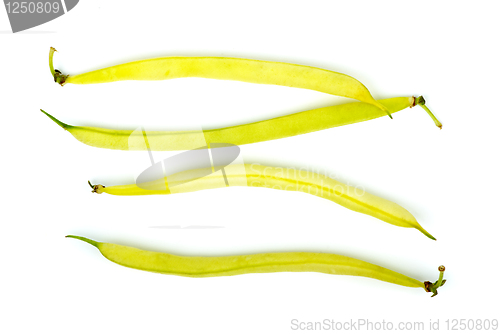 Image of Four yellow wax bean pods
