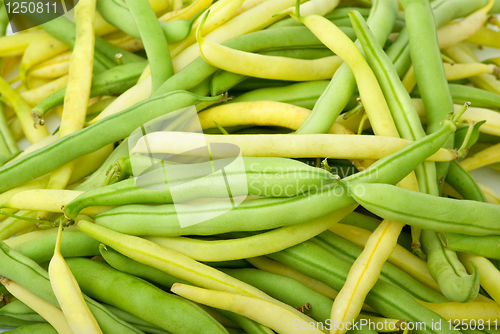 Image of Green and yellow wax bean pods
