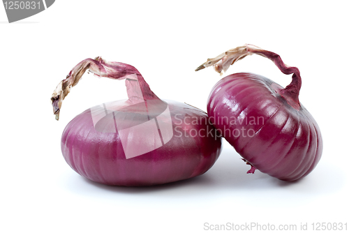 Image of Pair of purple onions
