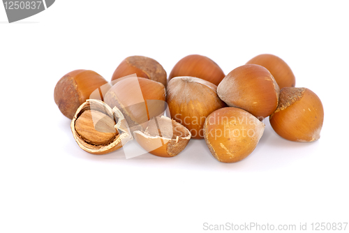 Image of Small pile of hazelnuts and one cracked