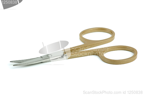 Image of Nail scissors