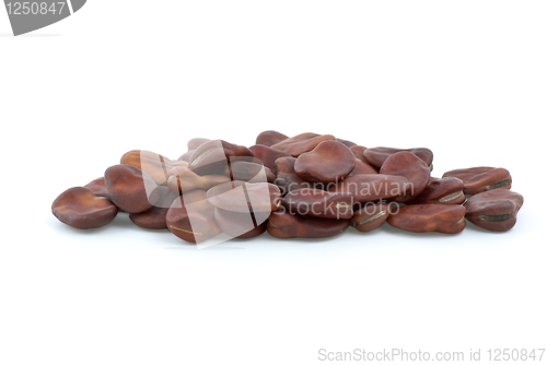 Image of Small pile of dried brown beans
