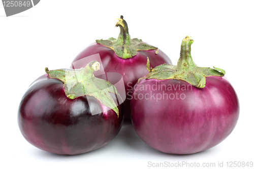 Image of Three eggplants