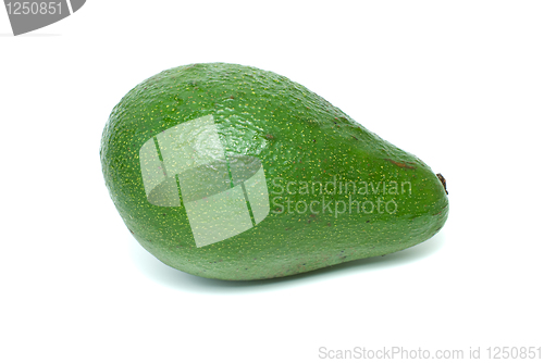 Image of Single avocado