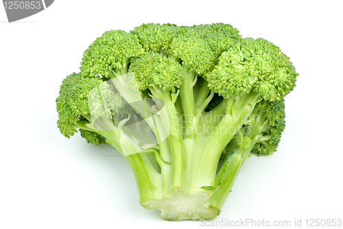 Image of Broccoli 