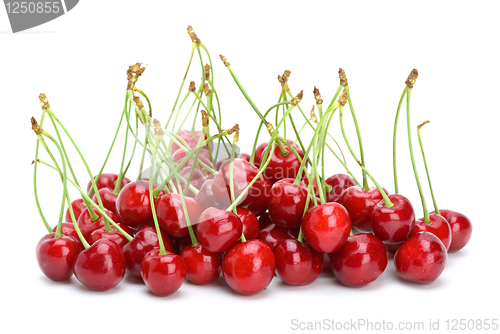 Image of Small pile of red cherries with stalks