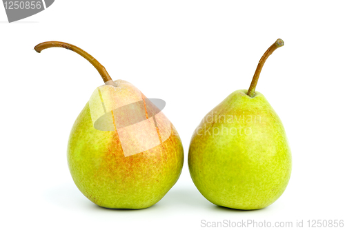 Image of Two pears