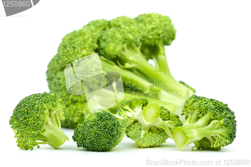 Image of Small broccoli pieces in foreground and big in background