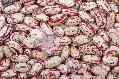 Image of Spotty white-red haricot beans