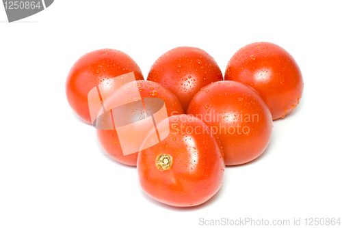 Image of Six tomatoes