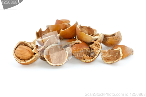 Image of Small pile of hazelnuts shells and one cracked