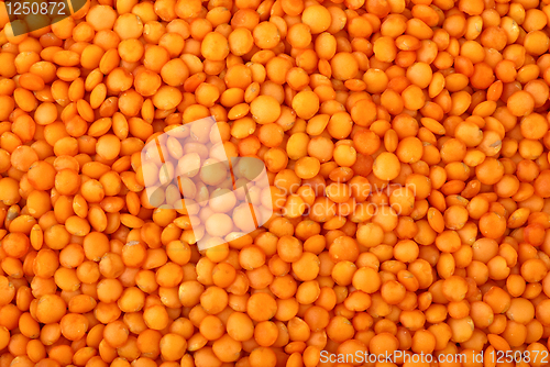 Image of Red "football" lentils