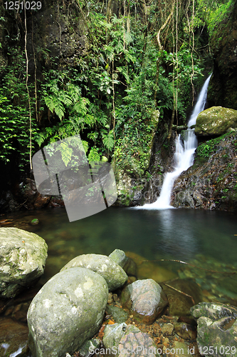 Image of Waterfall making its way into a pond in the rainforest 