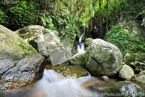 Image of Waterfall making its way into a pond in the rainforest 