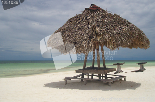 Image of Natural umbrella at the beach