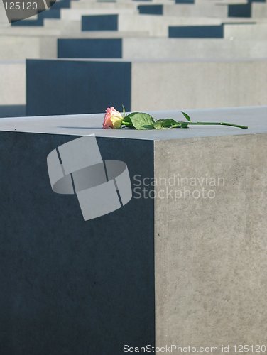 Image of Rose and Holocaust Memorial