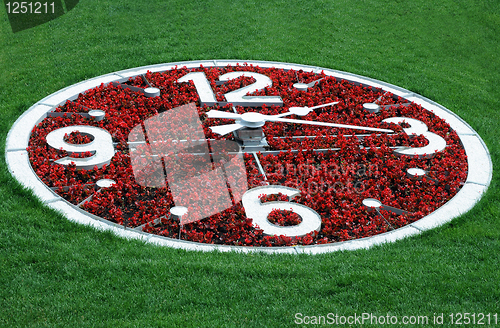 Image of Flower Clock Against Lawn Background