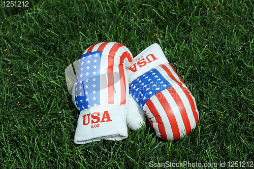 Image of Boxing Gloves on the Grass 