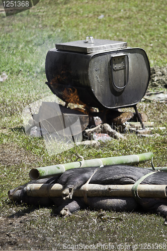 Image of Traditional Toraja animal sacrifice