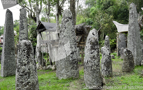 Image of Traditional family burial site