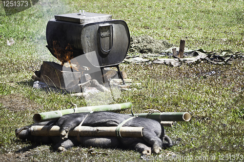 Image of Traditional Toraja animal sacrifice