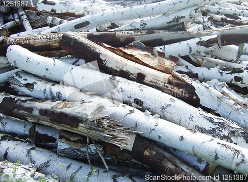 Image of logs