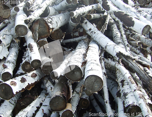 Image of logs