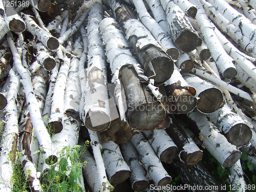 Image of logs