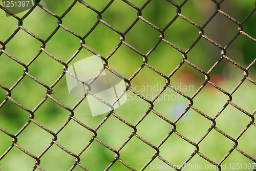 Image of wire fence