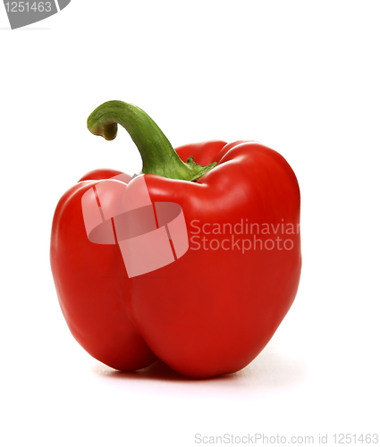 Image of Red peppers on a white background.