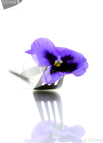 Image of Flower on a fork.