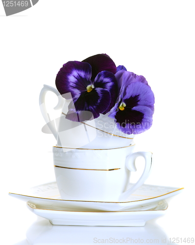 Image of Violet flowers in a coffee cup on a white background.
