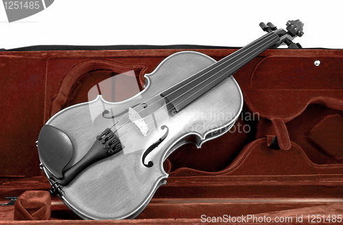 Image of Black and white Violin in red brown case